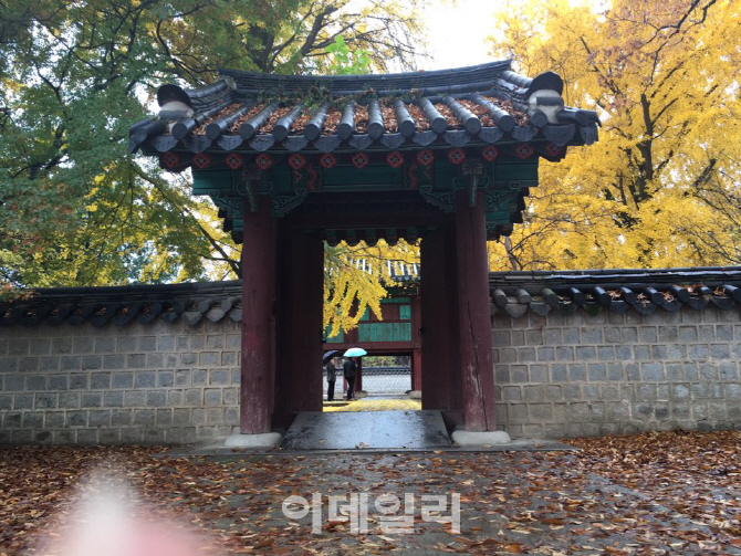  `경기전` 단비에 젖은 낙엽들                                                                                                                                                                      