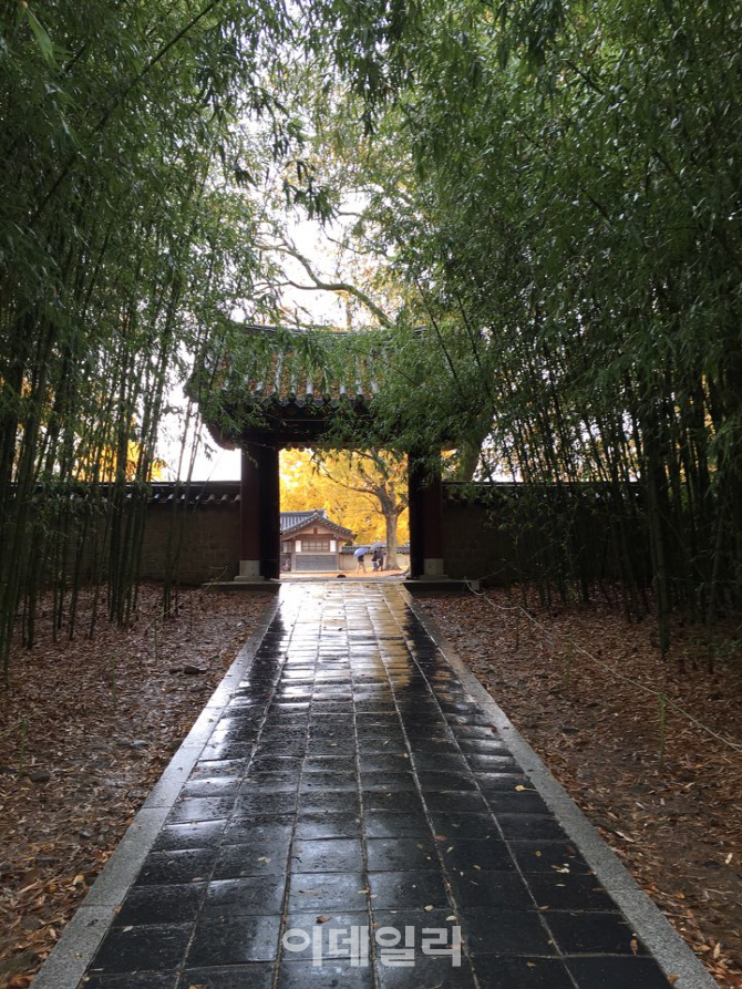  비에 젖은 `경기전`                                                                                                                                                                               