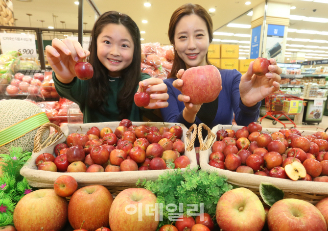 [포토]롯데마트, 오백원 사이즈의 미니사과 판매