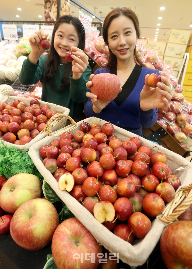 [포토]사과가 한입에 쏙! '미니사과' 맛보세요!