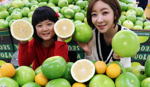 [포토]"겨울철 감기 예방 메로골드 자몽으로"