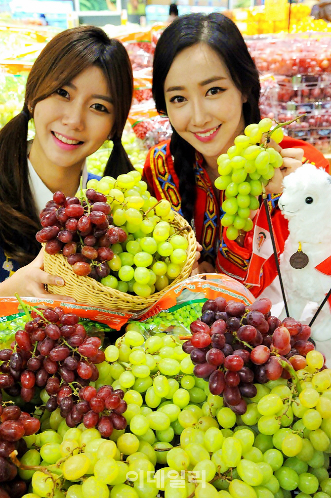 [포토]홈플러스, 시즌 첫 페루산 포도 출시-1