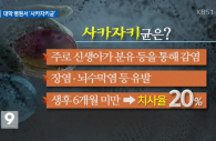 신생아 `사카자키균` 감염, 치사율 20%에도 당국 `나 몰라라`