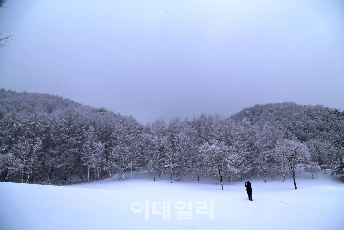 [여행] '설국치악'…사람도 풍경도 예술이 되다