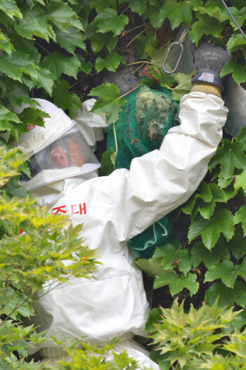 벌집 퇴치중 숨진 119대원..혁신처 "위험직무 순직 아니다"