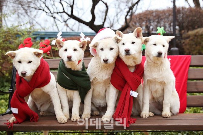 朴대통령 "나눔과 기부 많아지길"..성탄 메시지