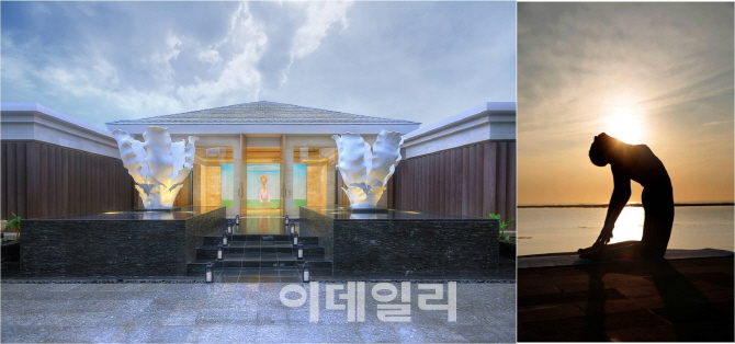 물리아 발리 웰니스 프로그램 패키지 판매