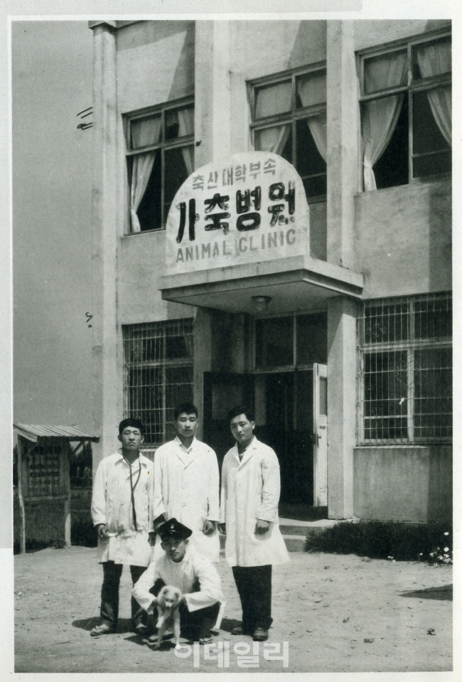 [포토]건국대 사료 사진 발굴..1966년 국내 첫 동물병원