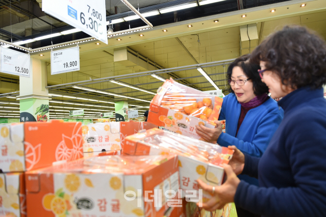 [포토]㈜농협유통, 감귤 재배 농가 살리기에 앞장-1