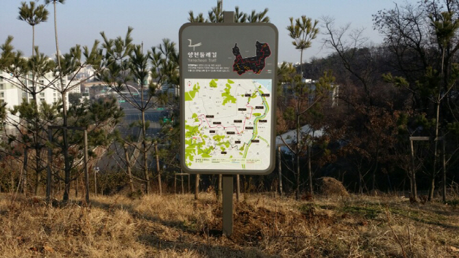 [동네방네]'지양산~매봉산~신정산' 양천 둘레길 7.2km 완료
