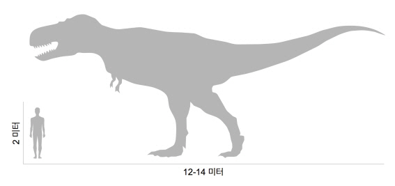 "거대 공룡과 조류, 생존전략 유사하다"