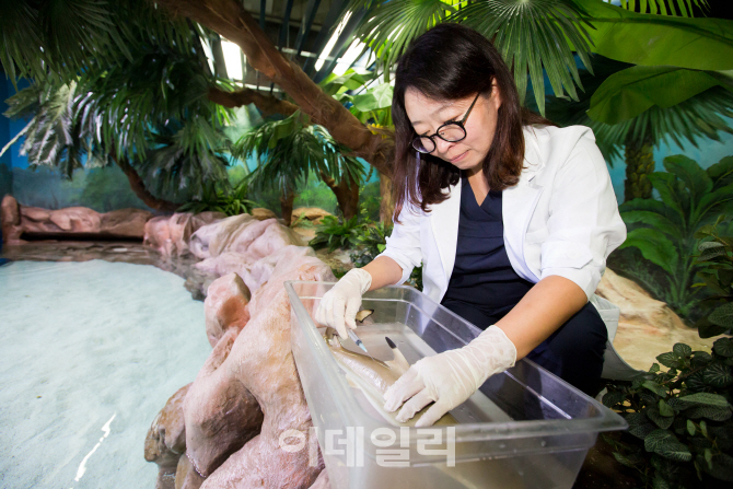 해양 생태계 보전에 앞장선다...롯데월드 아쿠아리움