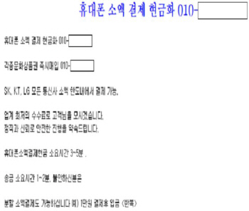 '휴대폰 1대당 100만원 대출'…불법금융광고 2264건 적발