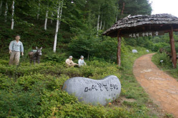  문학의 향기가 흐르는 '효석문학 100리길'