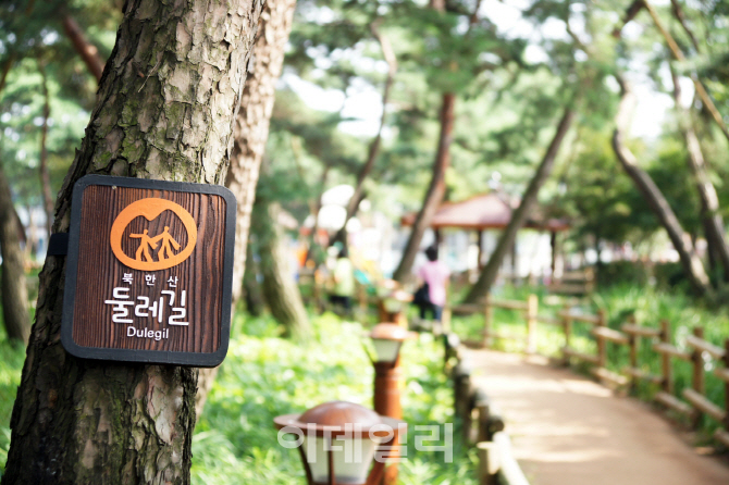 [포토] 걷기 좋은 소나무 숲길 '북한산둘레길 1코스'