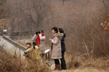 "겨울새 관찰 멀리가지 마세요"