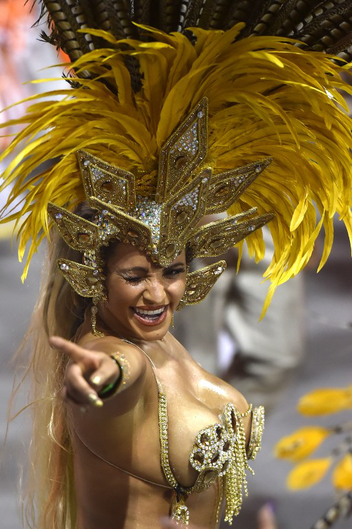 잠들지 않는 삼바 열기..브라질 카니발 열흘 밤새 `후끈`                                                                                                                                                   