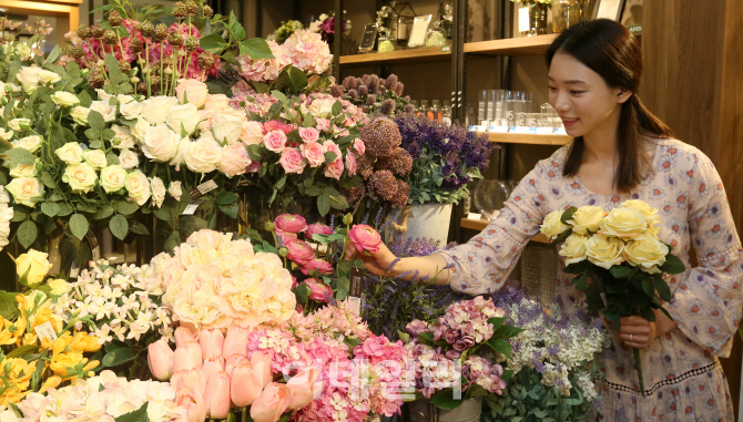 [포토]꽃으로 봄 맞이 집 단장해보세요!