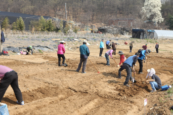 구로구, 주말농장 925구획 분양