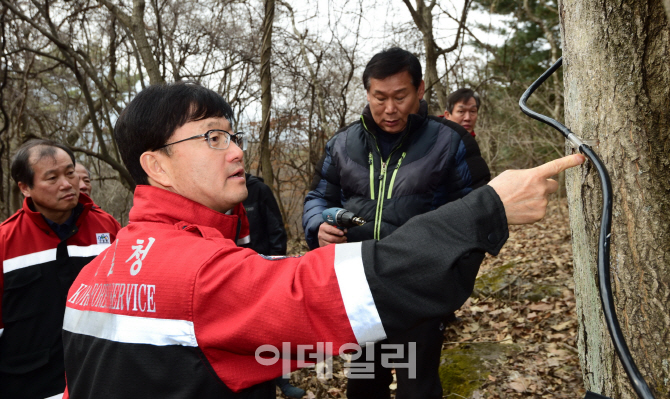 [포토]신원섭 산림청장, 전북 무주에서 고로쇠 수액채취 현장 점검