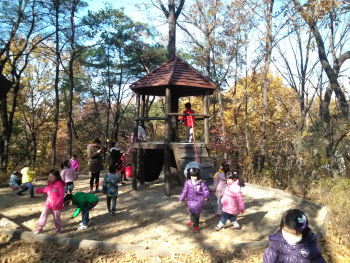 방화동 꿩고개근리공원에 '유아숲체험장' 조성