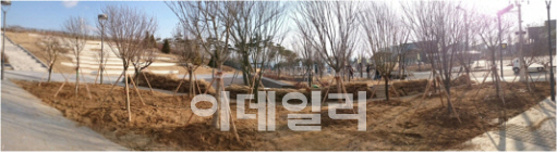대통령기록관서 시·도 대표 무궁화 '활짝'