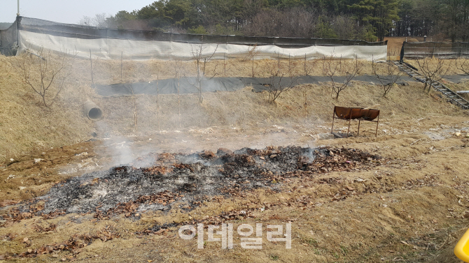 산림청, ‘소각산불 징후 예보제’ 시범 운영