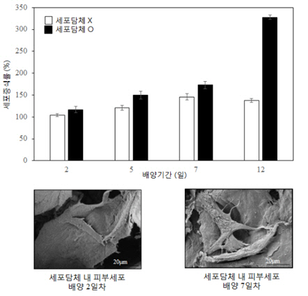 버려지는 어류 껍질로 피부 재생 소재 만든다