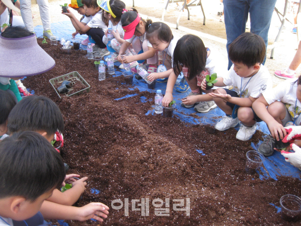 은평구 "친화경 도시텃밭 분양합니다"