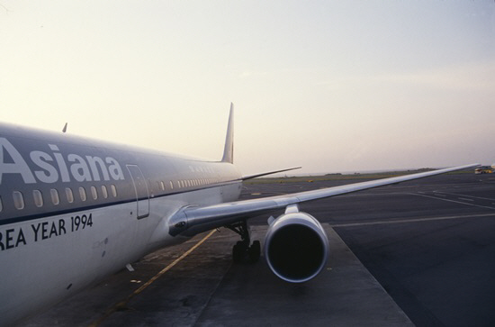 전동스쿠터 실린 아시아나항공, 회항 소동