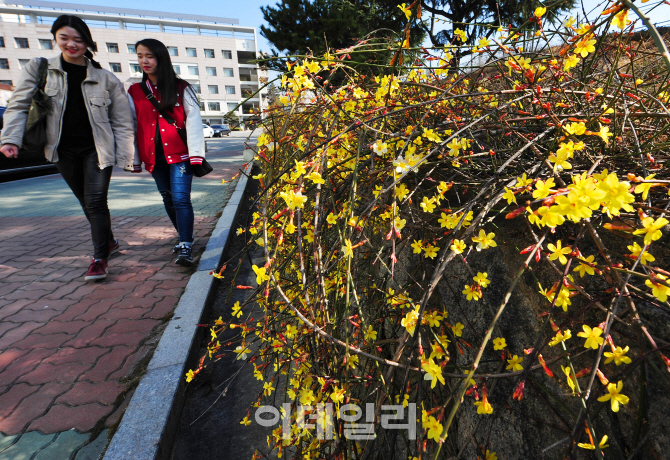 [포토]건국대 캠퍼스에 활짝 핀 봄