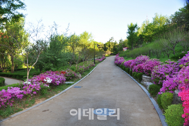 도심에서 즐기는 '서울 봄꽃길 156선'