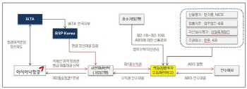 비행기 티켓값까지 당겨쓰는 항공사들