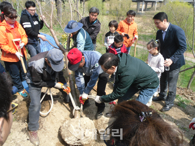 [동네방네]강남구, 양재천에 무궁화 기념식수