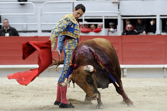 황소 뿔에 치이면 어쩌지                                                                                                                                                                           