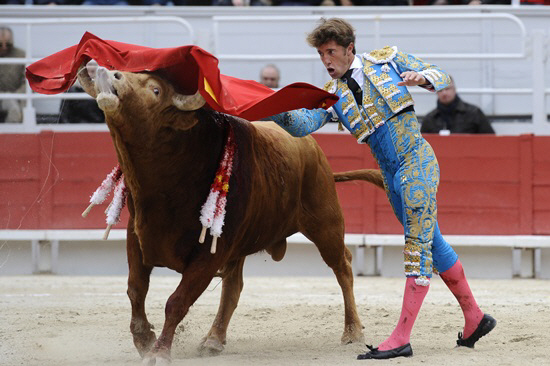 빨간 천에 성난 황소                                                                                                                                                                               