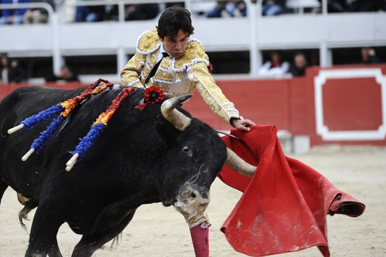 내 뿔을 받아라                                                                                                                                                                                    