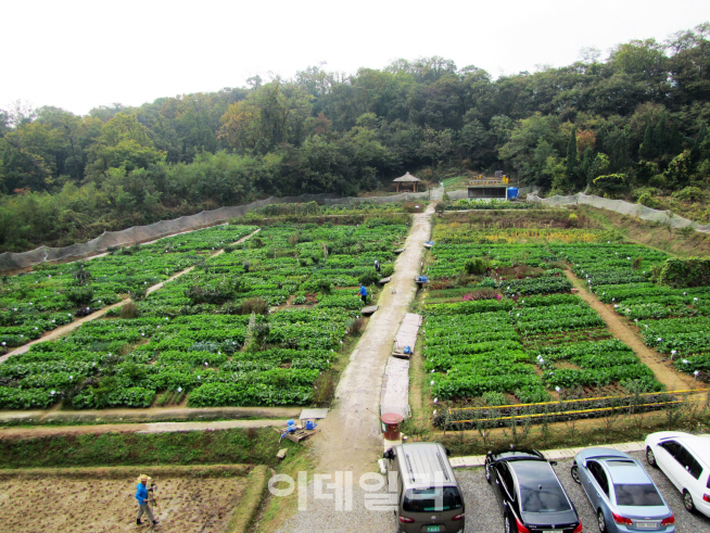 [동네방네]강동구, 2일부터 올해 도시농사 시작