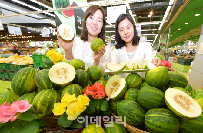 [포토]농협유통, 올해 첫 파파야메론 '맛보세요~'