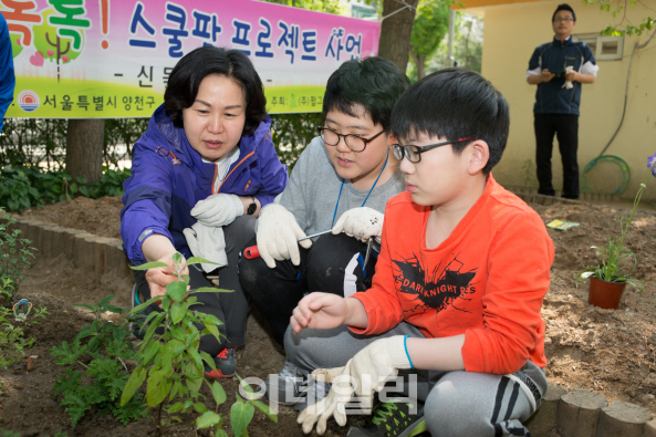 [동네방네]양천구 "학교 텃밭 활용한 과학 수업 진행해요"