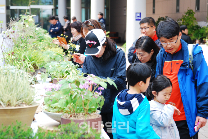 예술이 된 야생화...산야초 사랑회 '야생화 전시회'