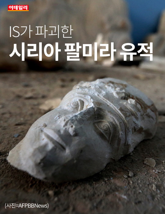 [카드뉴스] IS가 파괴한 시리아 팔미라 유적