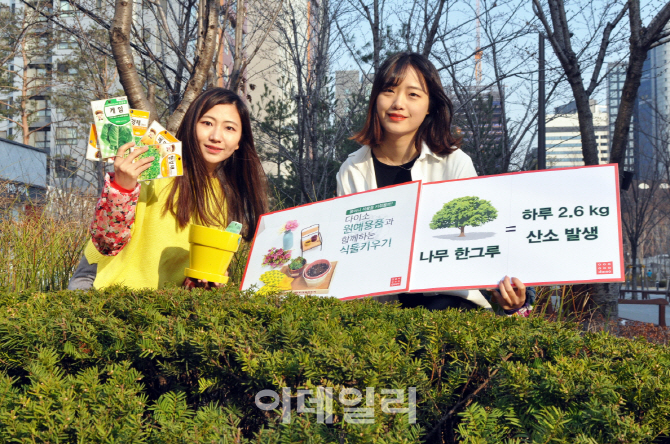 포토]'다이소와 함께하는 홈가드닝!'