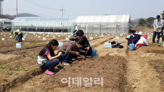 서울의 다둥이·다문화·실버가족 위한 도시농장 개장