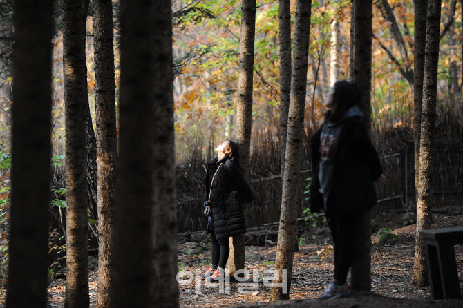 서울대공원 '치유의 숲' 확대 조성, 방문자 예약 접수