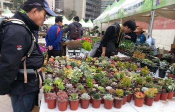 17~23일 서울광장서 '봄 꽃 나무 나눔 시장'