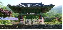 전통사찰 952곳 중 167개소..“불나도 소방차 진입 못해요”