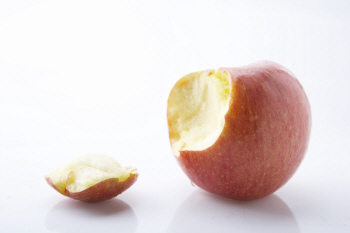 애플 어닝쇼크에 떠는 국내 IT부품株…걱정할 수준일까?