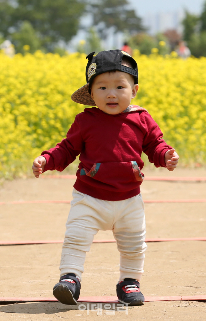 [포토]유채꽃 보러 왔어요!