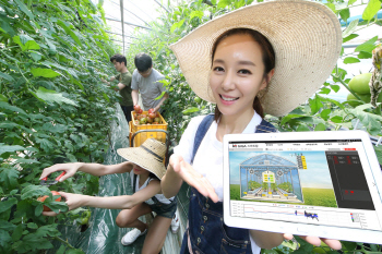 KT ‘GiGA 스마트팜’ 출시,IT 부농 확산 나선다